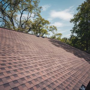 ورقه شینگل چیست و چه قیمتی دارد